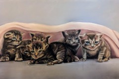 Kittens-in-a-Blanket