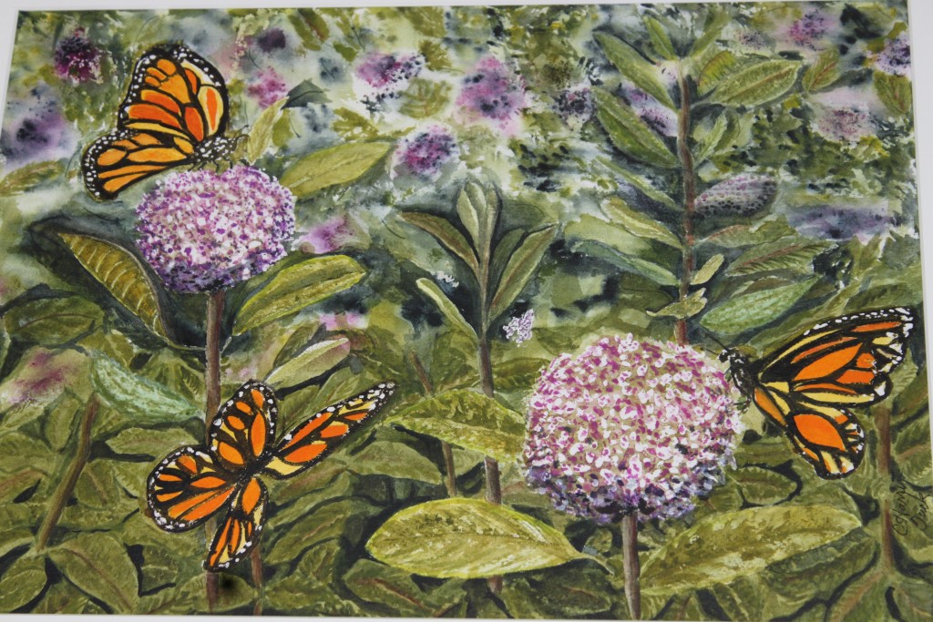 Monarch Butterflies