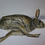 animal, watercolour, painting