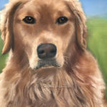 golden retriever, dog, pastel, portrait, painting, service dog, commemorative, gift, copyright by Cherin Harris-Tuck
