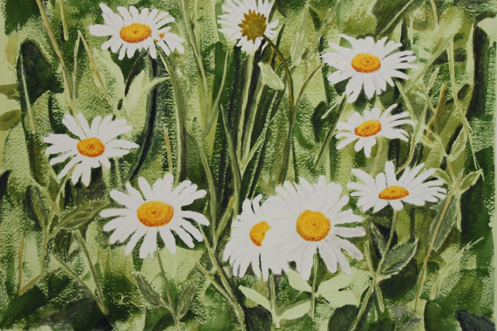 Daisies Art Lesson