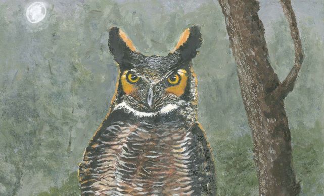 Great Horned Owl