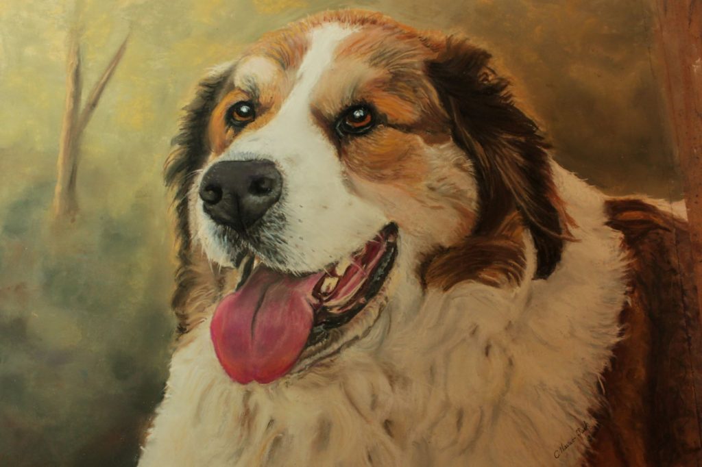 St. Bernard Portrait